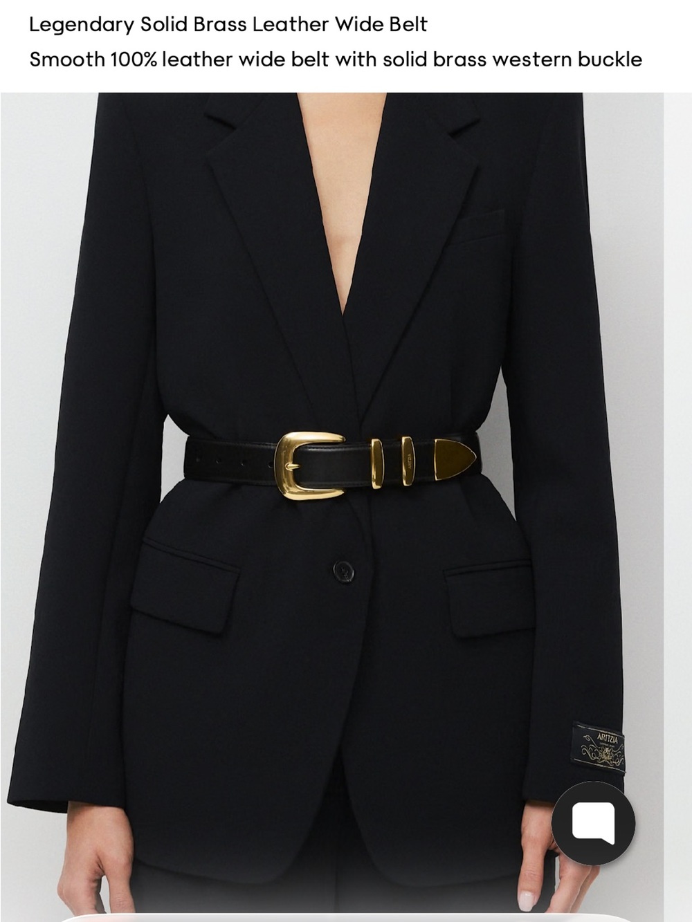 Aritzia legendary leather wide belt